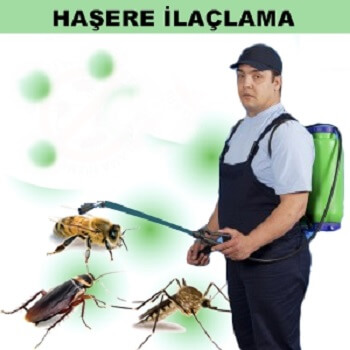 Cumayeri Böcek İlaçlama